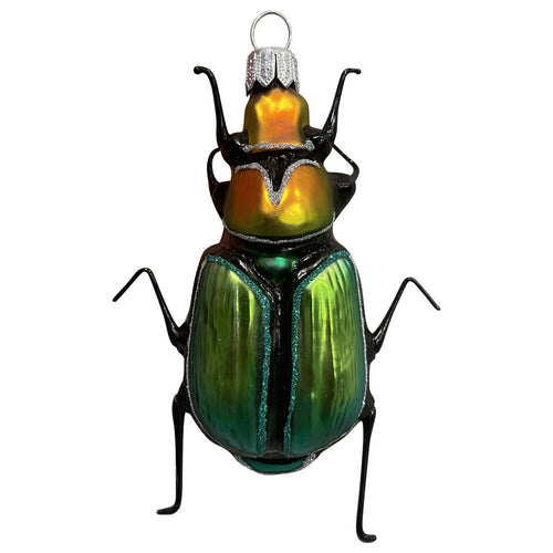 Beetle