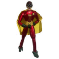 Mr. Robin