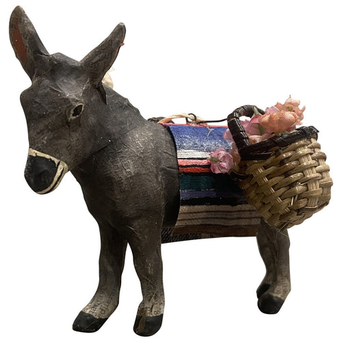 Burro