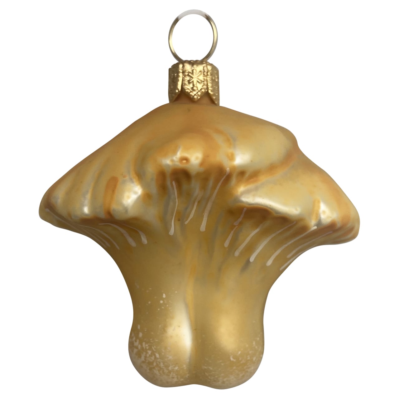 Chanterelle Mushroom