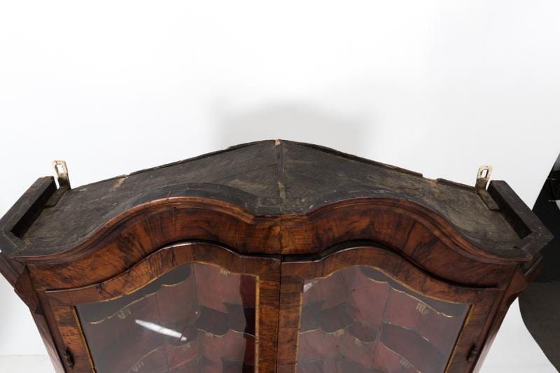 Dutch Collector’s Cabinet ca. 1750s
