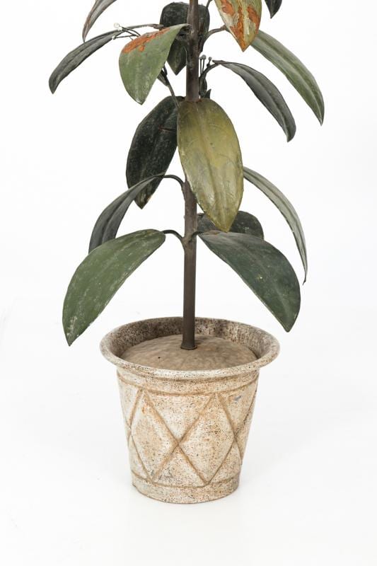 Tole Rubber Tree ca.1910