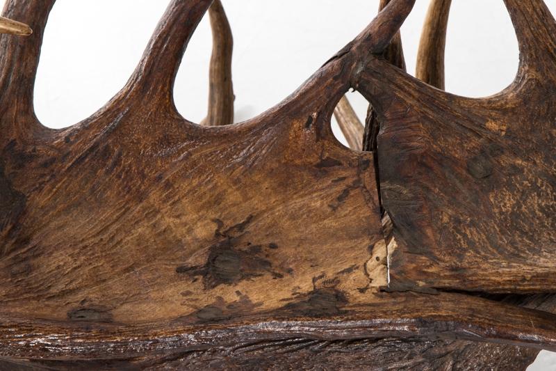 Pair of Antlers lounge chairs