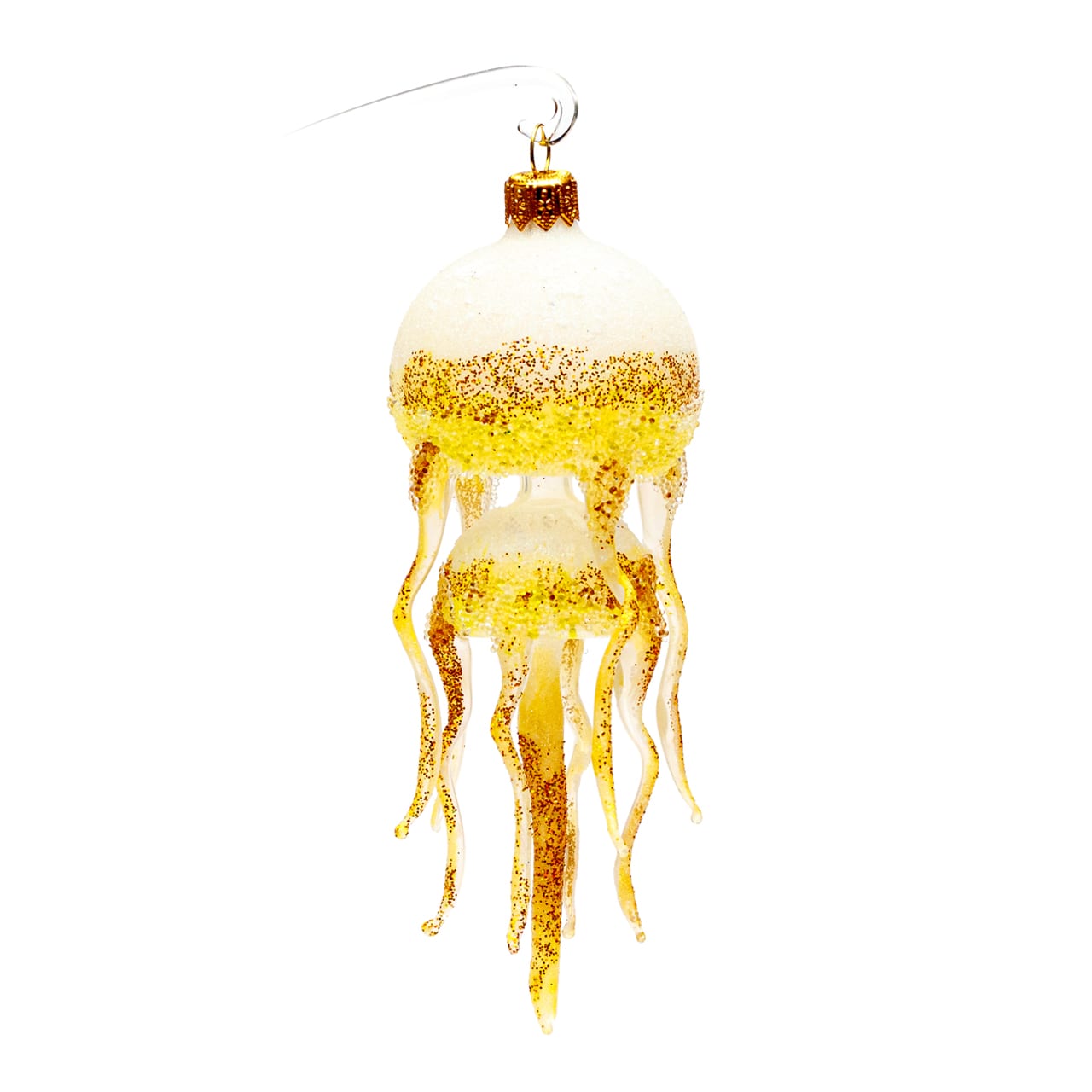 Jelly Fish